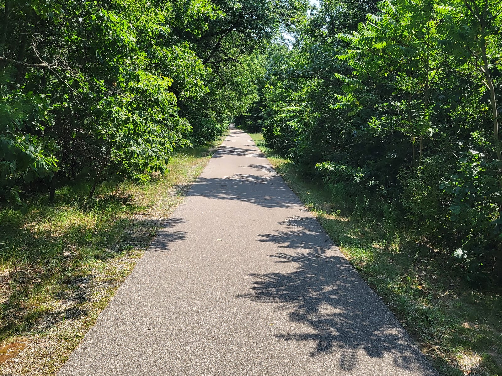 Smooth paved Fred Meijer Berry Junction Trail running straight through green woods between North Muskegon and Whitehall in July 2026