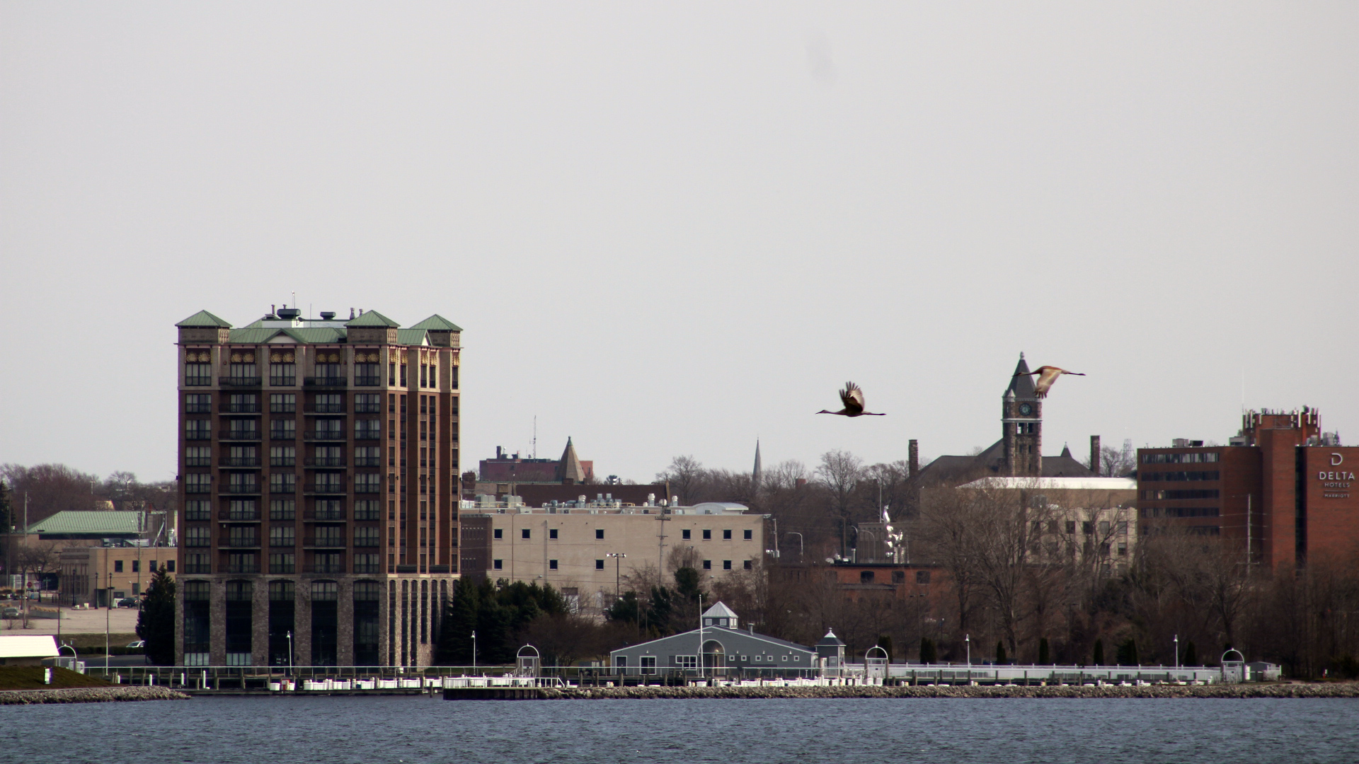 Great blue heron flying over Muskegon Lake viewed from North Muskegon Michigan