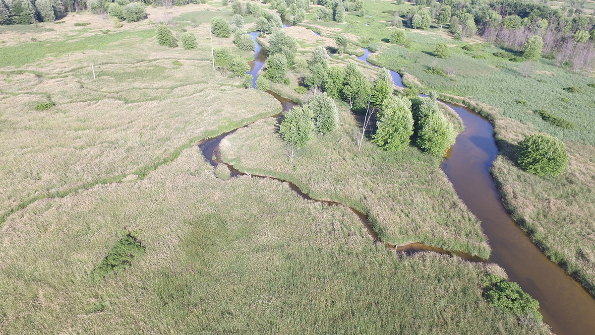 North branch of Muskegon River kayaking access from Muskegon Lake