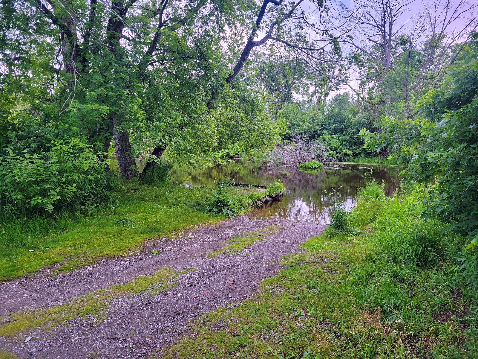 A hidden gravel boat launch at Richards Park sloping into a calm, tree-lined stretch of the Muskegon River, suited to kayaks and small boats.