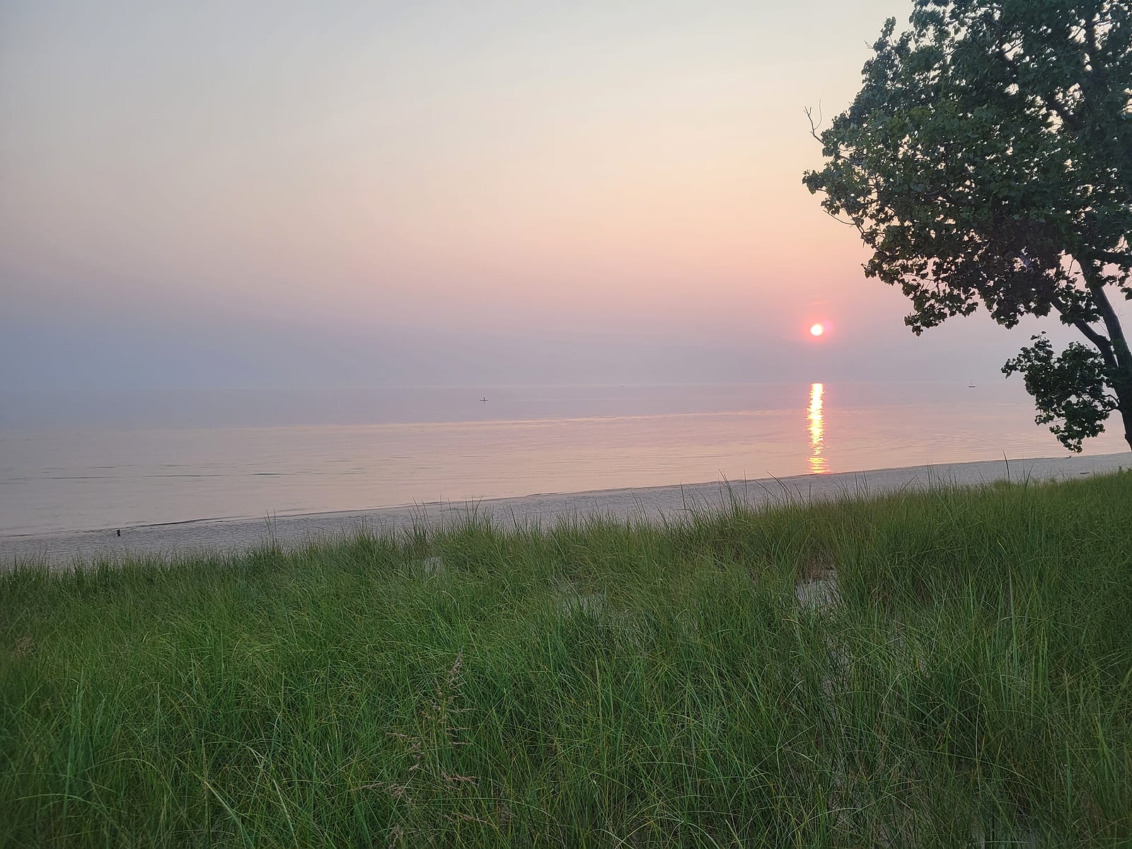 Dune grass and a flat calm Lake Michigan at sunset at Muskegon State Park in North Muskegon in August 2026, with a stand-up paddleboarder standing far offshore